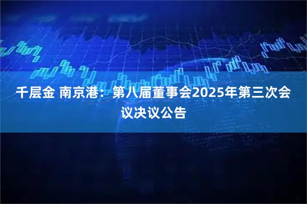 千层金 南京港：第八届董事会2025年第三次会议决议公告