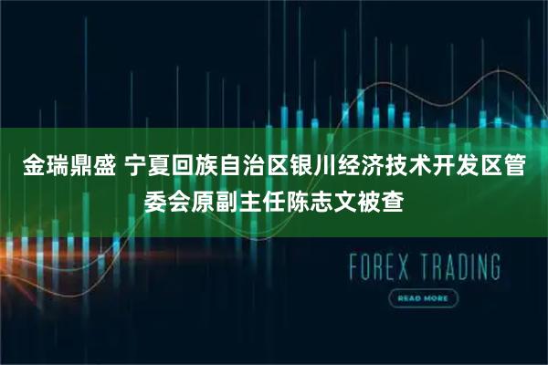 金瑞鼎盛 宁夏回族自治区银川经济技术开发区管委会原副主任陈志文被查