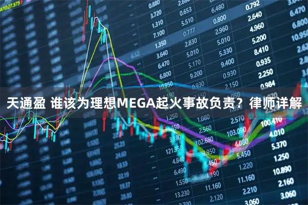天通盈 谁该为理想MEGA起火事故负责？律师详解