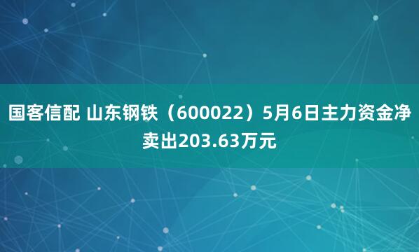国客信配 山东钢铁（600022）5月6日主力资金净卖出203.63万元