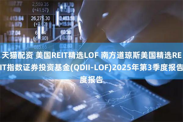 天猫配资 美国REIT精选LOF 南方道琼斯美国精选REIT指数证券投资基金(QDII-LOF)2025年第3季度报告