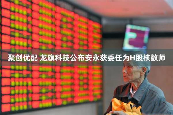 聚创优配 龙旗科技公布安永获委任为H股核数师