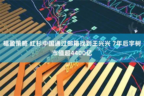 福盈策略 红杉中国通过邮箱找到王兴兴 7年后宇树市值超4400亿